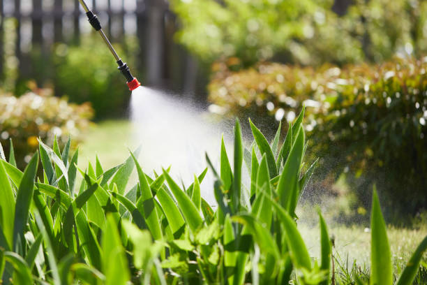 Tamper-Resistant Bait Stations for Rodents in Crouch Mesa