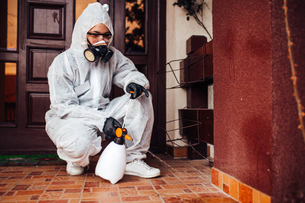 Attic and Crawl Space Rodent Treatment in Crouch Mesa
